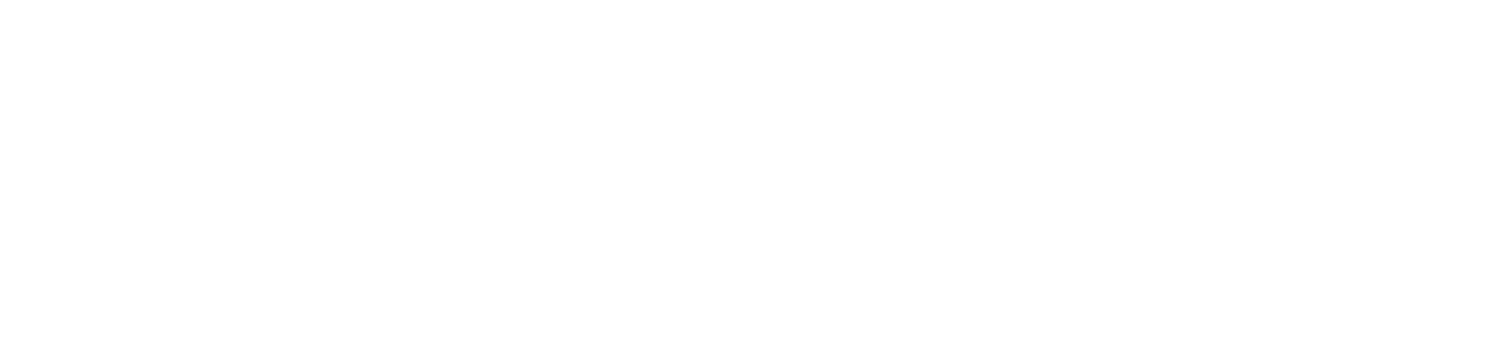Raiz Digital